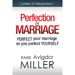 Perfection In Marriage (Career Of Happiness Ii) [Paperback]