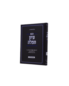Eiun Tfila Halacha Brendris