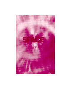 Inner Space Hardcover Kaplan