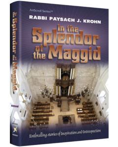 In the Splendor of the Maggid