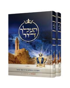Hamelech David Nach Shmuel 1 Prakim 1-31 2 Volume