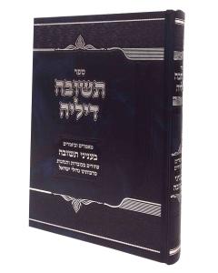 Teshuva Dilei Maamarim Beinyanei Teshuva