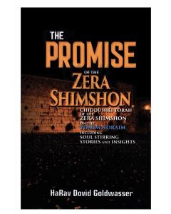 The Promise of the Zera Shimshon - Yomim Noraim