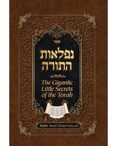 Gigantic Little Secrets of the Torah