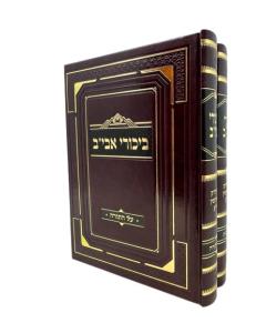 BIKUREI AVIV DIVREI 2V AVIV BERESHIT RADZMIN