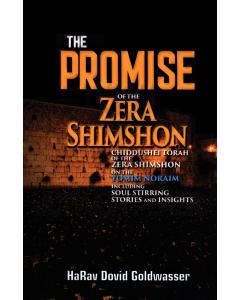 The Promise of the Zera Shimshon - Yomim Noraim