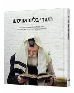 תשרי בליובאוויטש - תמונות