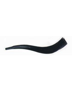 Real Look Plastic Yemenite Shofar