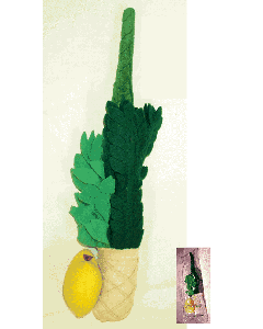 Lulav & Esrog Plush Play Set