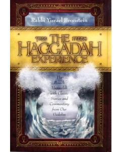 The Haggadah Experience [Hardcover]