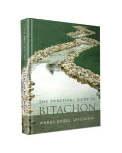 The Practical Guide to Bitachon