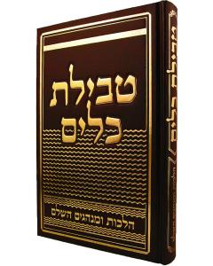 Tevilas Keilim - Halacha