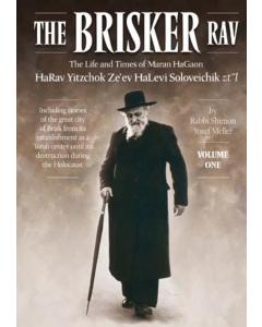 The Brisker Rav, Volume 1