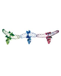 Multicolor Grape Foil Garland Sukkah Decoration 10'' - 6 Sections