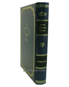 Shearim Hametzuyanim  Bava Metzia Broyn