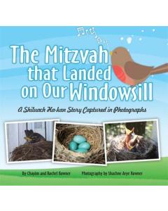 The Mitzvah That Landed On Our Windowsill