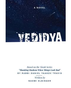 Yedidya - A Novel [Hardcover]