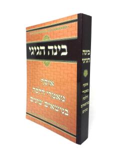 Bina Hagigi Osef Mamarei Halacha Shilo S/C