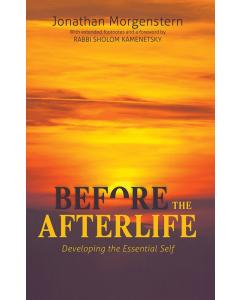 Before the Afterlife