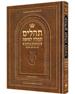 Pocket Size Hebrew Only, Large Type Tehillim  with English Introductions (Light Brown)