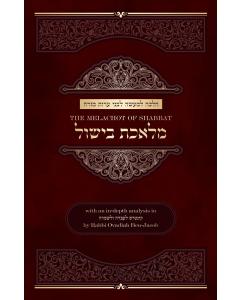 The Melachot of Shabbat Melechet Bishul