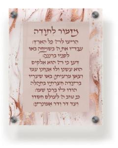 Acrylic Mizmor Letoda Wall Frame 9.5x11.5" Rose Gold