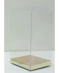 Transparent Bag with Gold Base