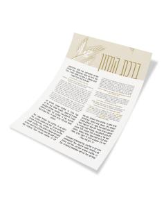 Laminated 1 Page Bencher (8.5" x 11")