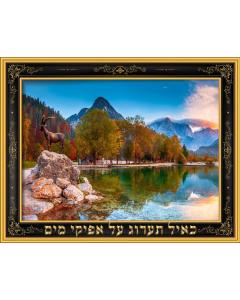 Laminated Sukkah Poster - כאיל תערוג