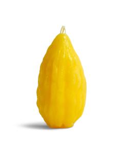 Havdala  Esrog Shape Candle