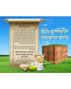 Laminated Sukkah Sign - Birchas Lulav
