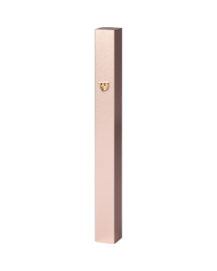 Aluminum Mezuzah 12 cm-with Metal Shin - Gold
