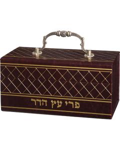 Faux Leather Etrog Box with Handle & Lock - Brown