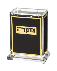 Lucite Tzedakah Box 13cm
