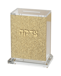 Lucite Tzedakah Box 13cm