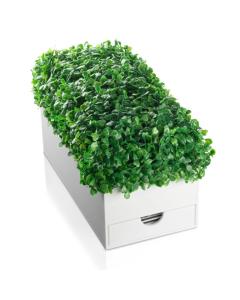 Boxwood Bencher Set - Ashkenaz - Rectangle