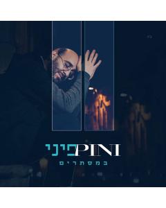 PINI EINHORN - BAMISTURIM [PINI II] - USB
