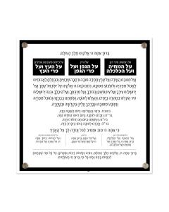 Lucite Al Hamichya Basics Black Ashkenaz 14X14