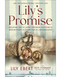Lily's Promise [Paperback]