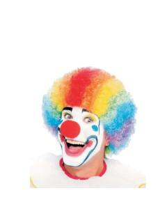 Colored Clown Wig