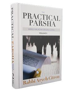 Practical Parsha #2