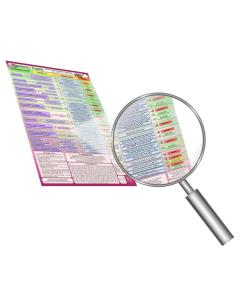 Perfectly Pareve Magnet - Laminated