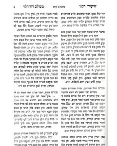 Shiurei R. Meshulam David Erkin