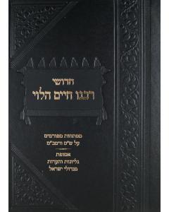 Rav Chaim al Harambam Gilyonot Migedolei Yisroel