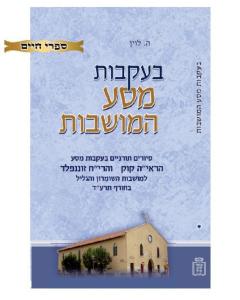 Beikvot Masa Hamoshavot - Levin