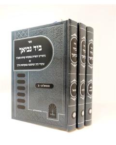 Beyad Nevieicha Nach Yehoshua Shoftim Shmuel 3 Volumes