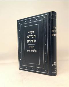 Shiurei Hagram Shapira Rambam Talmud Torah