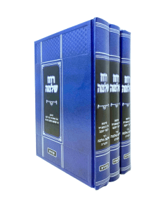 Ruach SHlomo Torah Moadim Inyanim Volbo 3 Volume