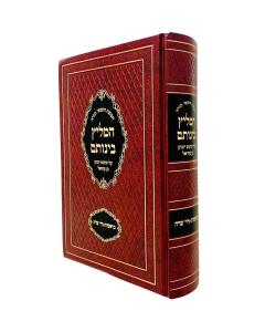 Hamelitz Binosat Torah Bereshis Chayei Sara Targum