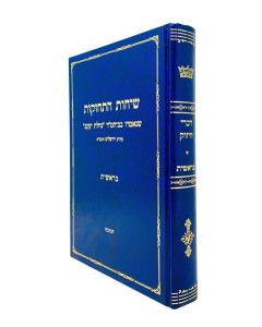 Sichos Hischazkus Torah Bereshis Chanuka Zilberberg